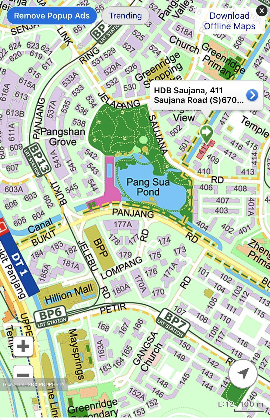 Saujana Road (Bukit Panjang),  #581963551